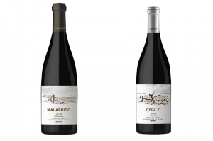 Cepa 21 y Malabrigo, los vinos que debes conocer este 2023
