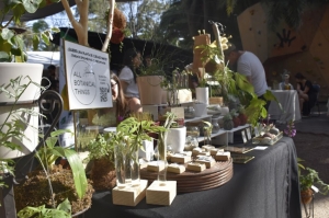 &quot;Pacha Bazar&quot;, un evento dirigido para los amantes de la naturaleza y el cuidado del medio ambiente