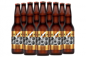 Cerveza Cucapá y la banda mexicana Enjambre ofrecieron un concierto con causa a favor de las abejas