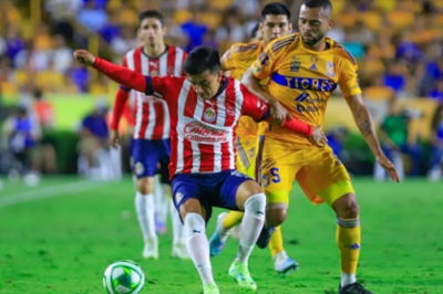 Los básicos para entender la Liga MX