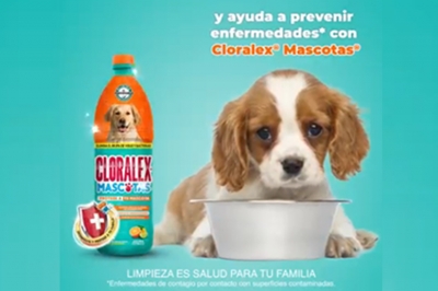 En el marco del Día Mundial del Perro, ¡Cuídalo y protégelo con Cloralex Mascotas!