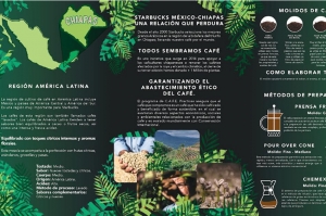 Tu café tiene sabor a Chiapas: compromiso en cada taza