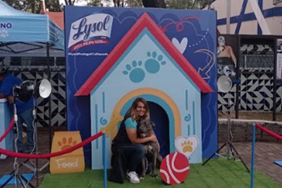 Lysol lanza al mercado nuevo producto para desinfectar entornos de mascotas y ayudar proteger la salud de las familias