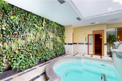 Vive el amor de una manera única con una experiencia de bienestar en Spa Marquis