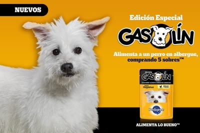 Gasolín el perrito más famoso de todo México, ahora en la imagen de Sobres Pedigree